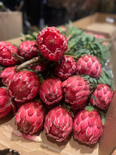 Load image into Gallery viewer, Fresh Cut Proteas