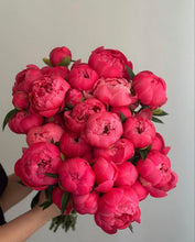 Load image into Gallery viewer, Fresh Cut Peonies