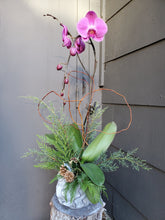 Load image into Gallery viewer, Single-Stem Orchid Planter