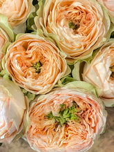 Load image into Gallery viewer, Roses (Non-Red)