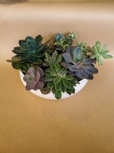 Load image into Gallery viewer, Succulent Planter