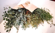 Load image into Gallery viewer, Fresh Eucalyptus Bunch