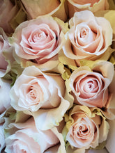 Load image into Gallery viewer, Roses (Non-Red)