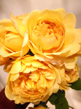 Load image into Gallery viewer, Roses (Non-Red)