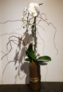 Bespoke Orchid Planter