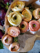 Load image into Gallery viewer, Fresh Cut Regular Ranunculus