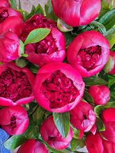 Load image into Gallery viewer, Fresh Cut Peonies