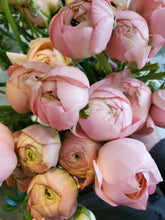 Load image into Gallery viewer, Fresh Cut Regular Ranunculus