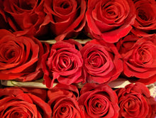 Load image into Gallery viewer, Roses (Non-Red)