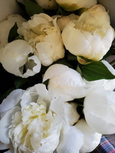 Load image into Gallery viewer, Fresh Cut Peonies