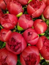 Load image into Gallery viewer, Fresh Cut Peonies