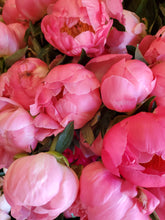 Load image into Gallery viewer, Fresh Cut Peonies