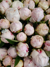 Load image into Gallery viewer, Fresh Cut Peonies