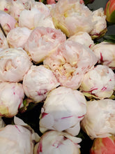 Load image into Gallery viewer, Fresh Cut Peonies