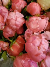 Load image into Gallery viewer, Fresh Cut Peonies