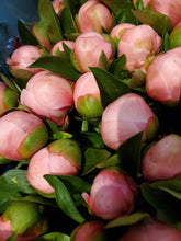 Load image into Gallery viewer, Fresh Cut Peonies