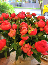 Load image into Gallery viewer, Fresh Cut Peonies