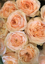 Load image into Gallery viewer, English Garden Roses