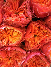 Load image into Gallery viewer, English Garden Roses