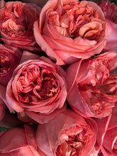 Load image into Gallery viewer, English Garden Roses