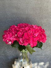 Load image into Gallery viewer, Fresh Cut Hydrangea