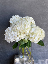 Load image into Gallery viewer, Fresh Cut Hydrangea