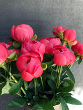 Load image into Gallery viewer, Fresh Cut Peonies