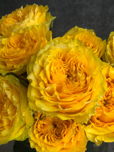 Load image into Gallery viewer, English Garden Roses