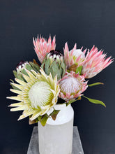 Load image into Gallery viewer, Fresh Cut Proteas