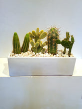 Load image into Gallery viewer, Succulent Planter