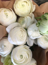 Load image into Gallery viewer, Fresh Cut Regular Ranunculus