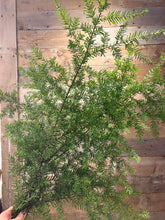 Load image into Gallery viewer, Christmas Foliage
