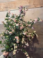 Load image into Gallery viewer, Snowberries
