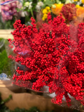 Load image into Gallery viewer, Red ilex
