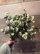 Load image into Gallery viewer, Snowberries
