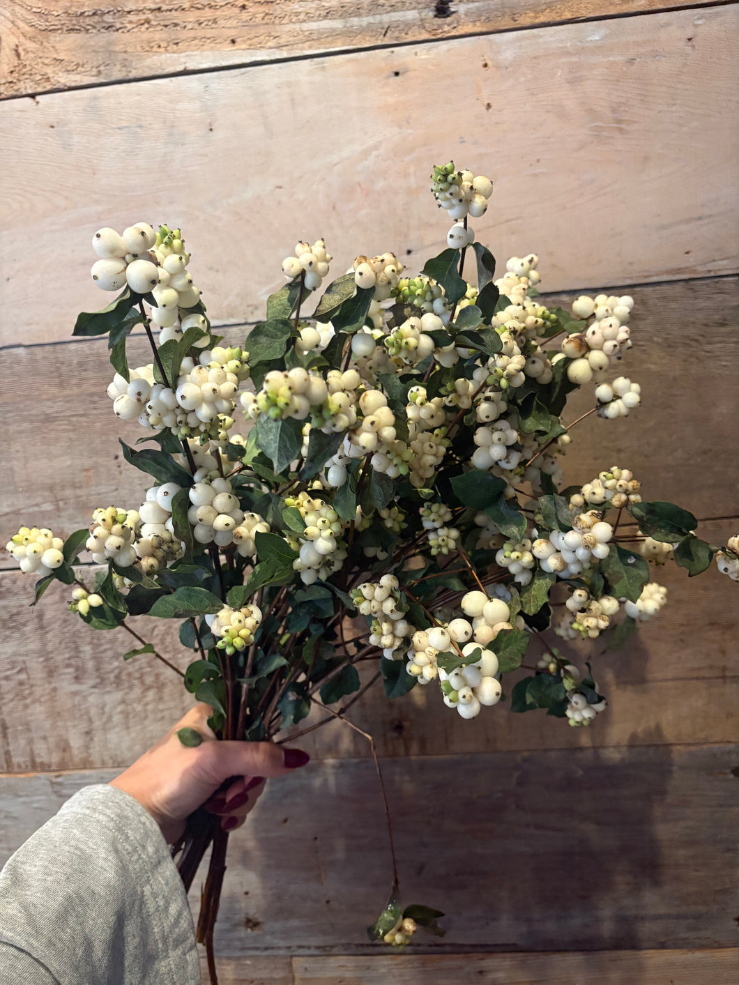 Snowberries