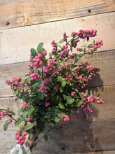 Load image into Gallery viewer, Snowberries
