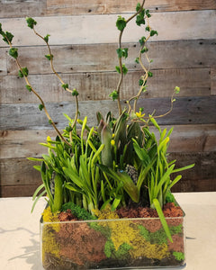 Spring Planter