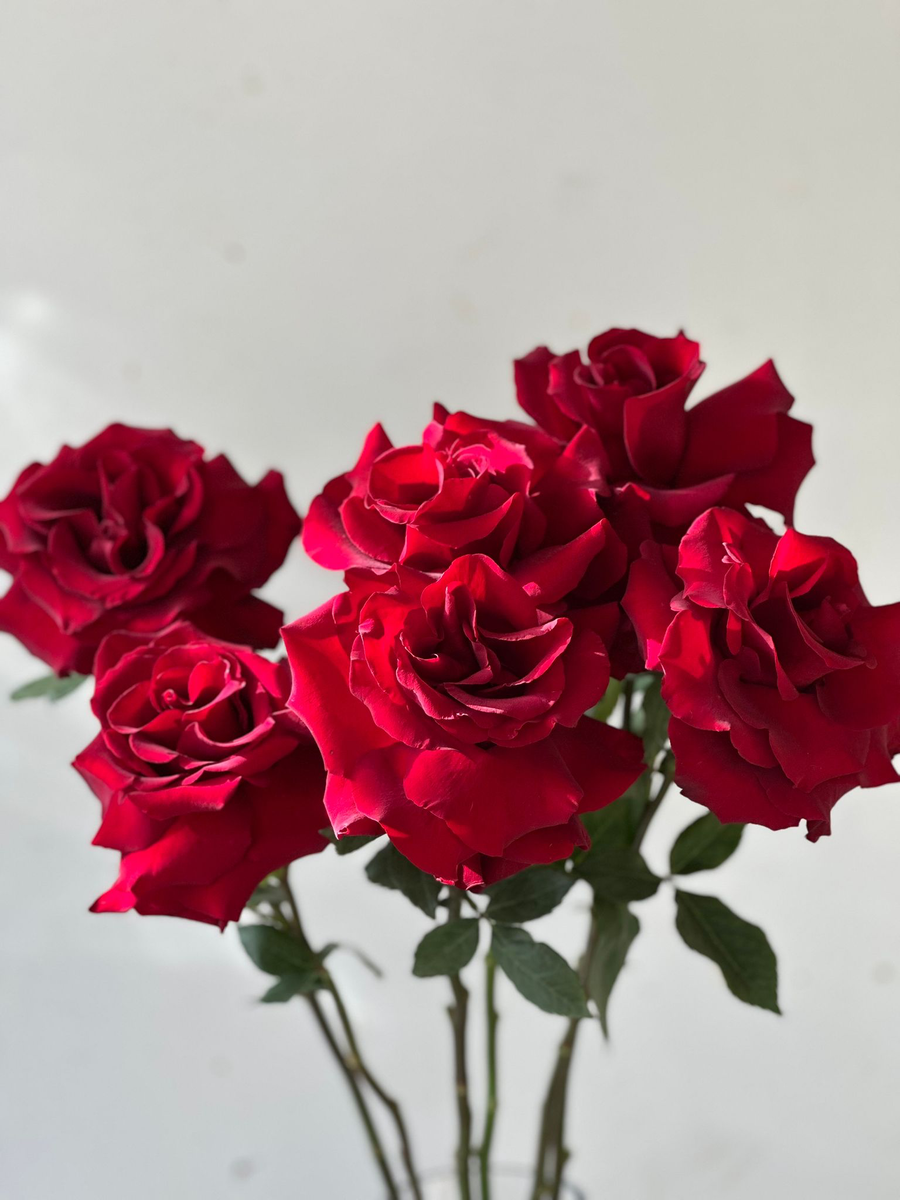 Peel-Back Roses – The Granville Island Florist