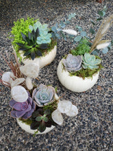 Load image into Gallery viewer, Festive Pumpkin Centrepiece
