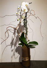 Load image into Gallery viewer, Bespoke Orchid Planter
