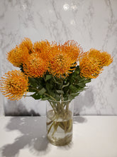 Load image into Gallery viewer, Fresh Cut Proteas
