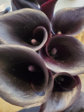 Load image into Gallery viewer, Fresh Cut Calla Lilies
