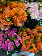 Load image into Gallery viewer, Fresh Cut Dahlias
