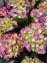 Load image into Gallery viewer, Fresh Cut Hydrangea
