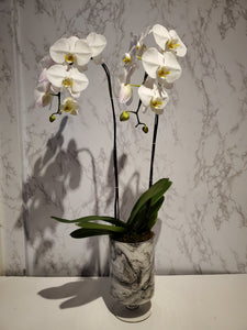 Bespoke Orchid Planter