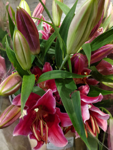 Fresh Cut Lilies