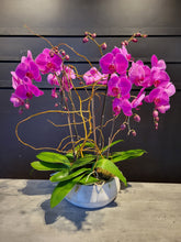 Load image into Gallery viewer, Large 8 Stem Orchid Planter
