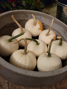 Pumpkins