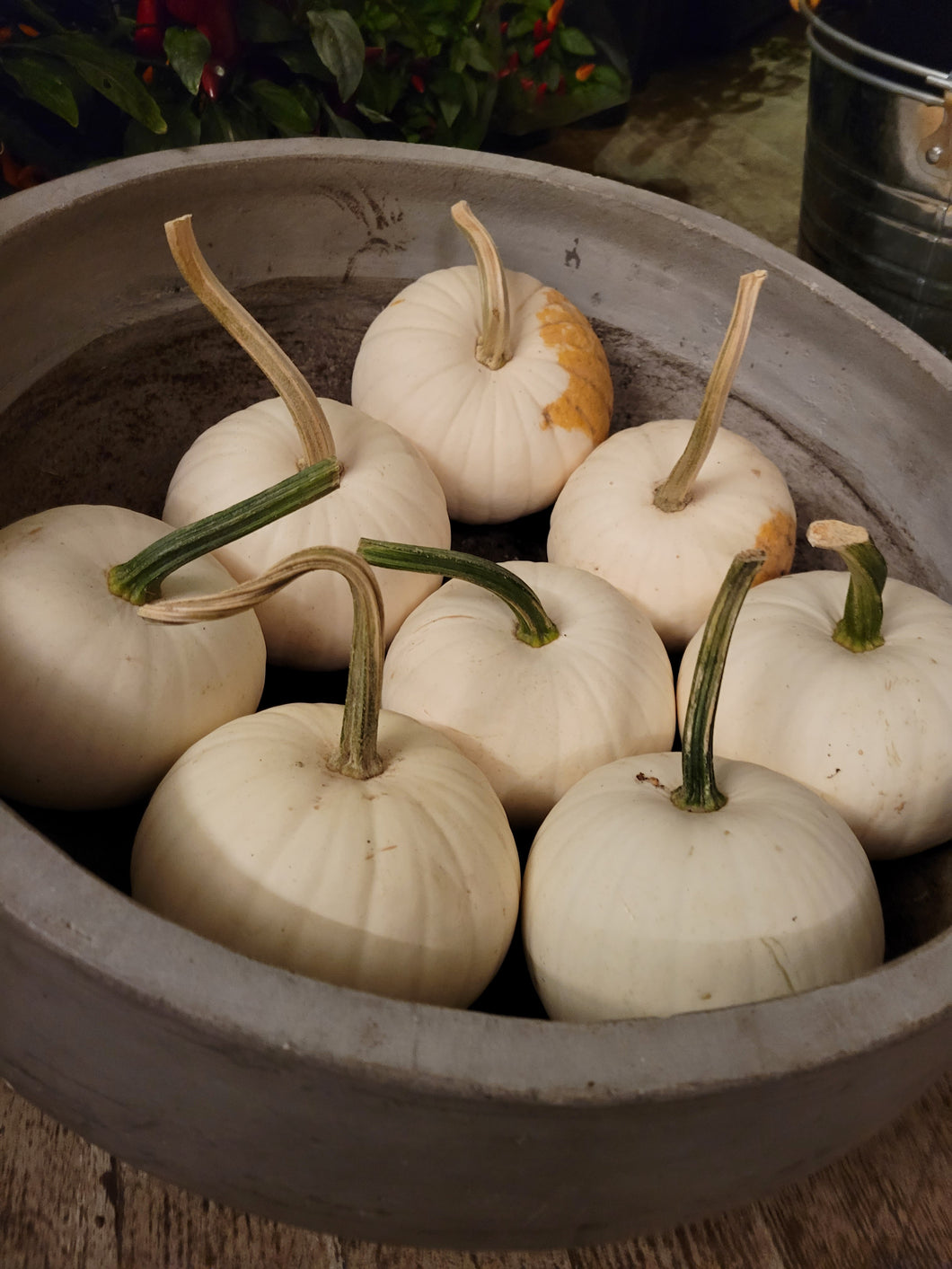 Pumpkins